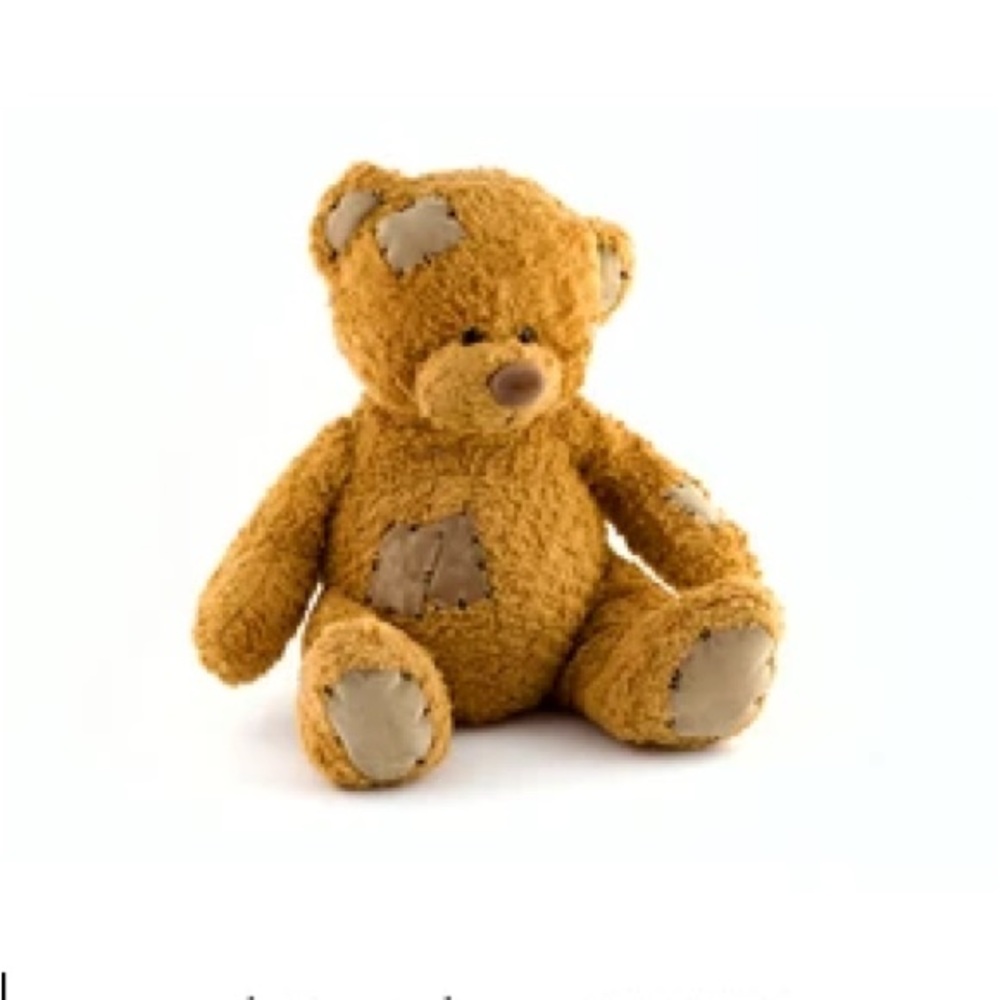 Wanted : looking to purchase this bear